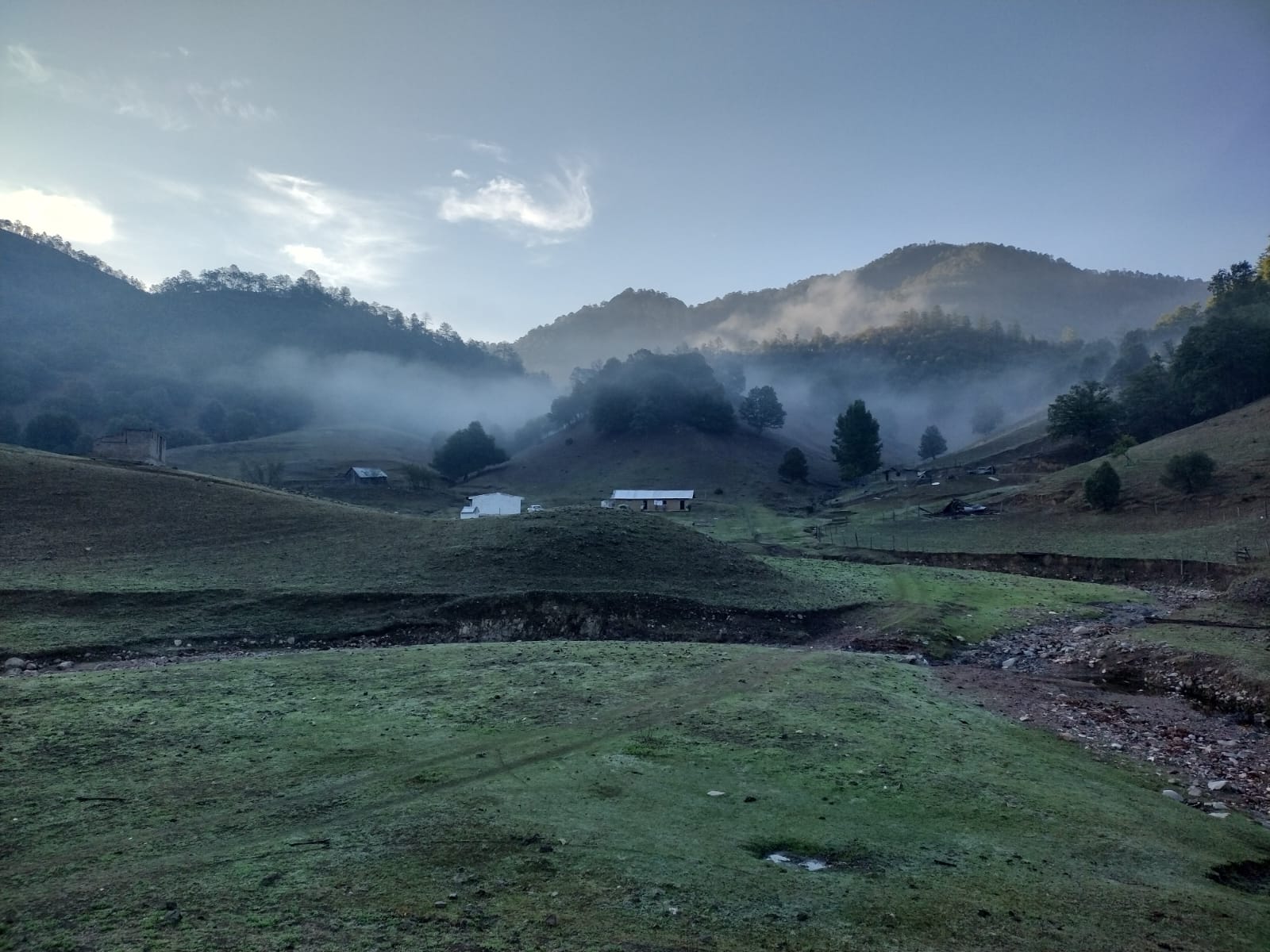 Niebla de la mañana