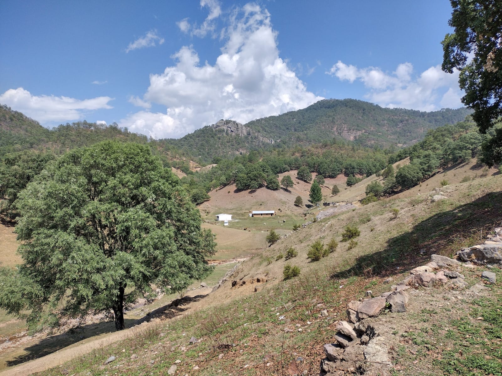 El valle al mediodía