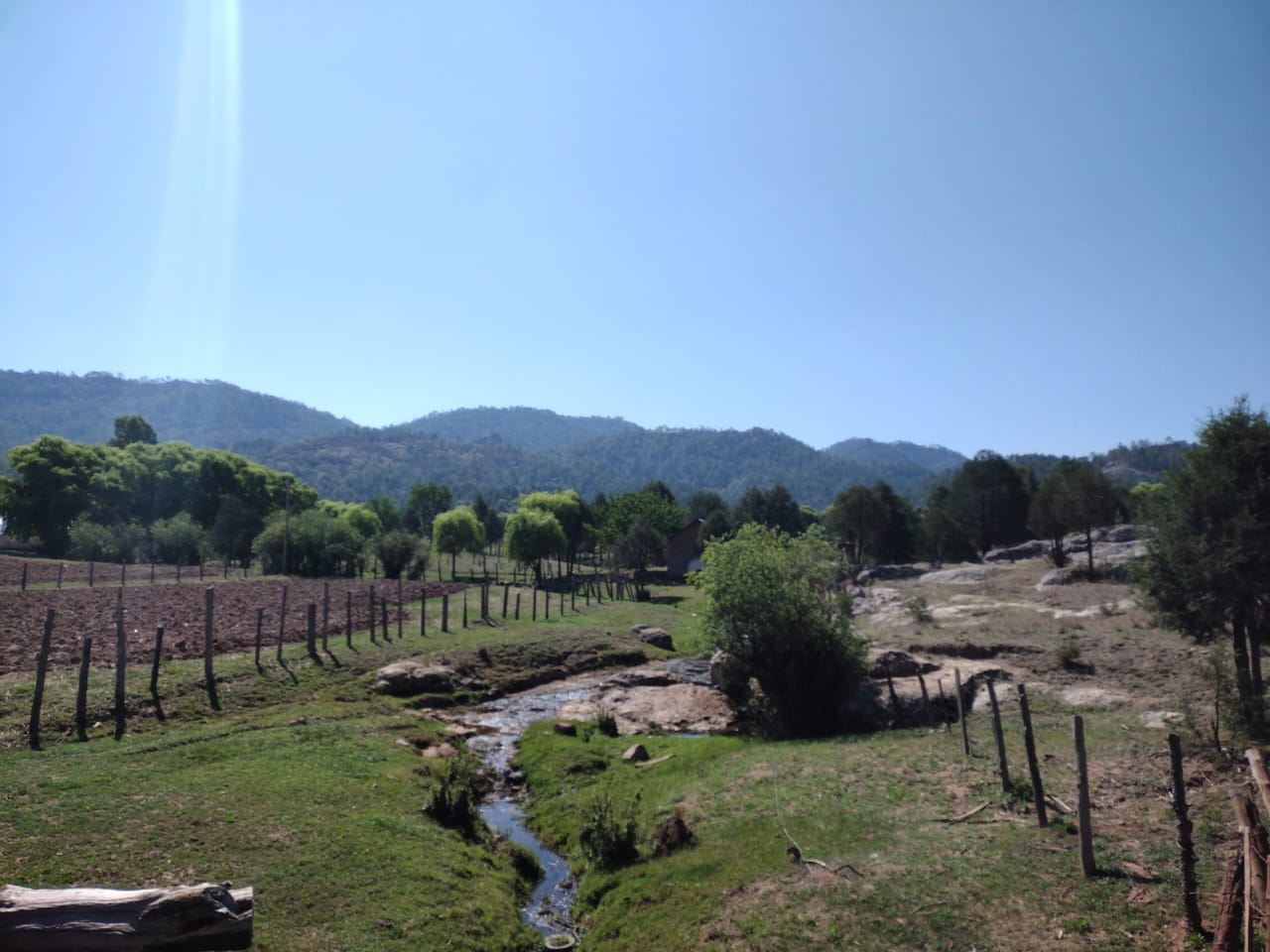 El arroyo entre los campos