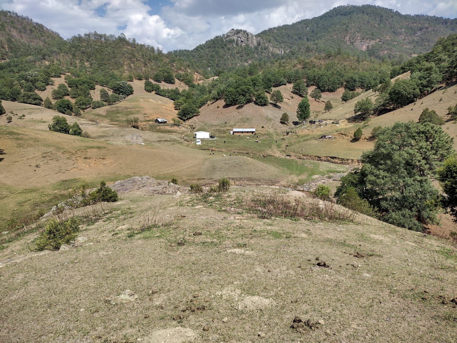 Valle abajo