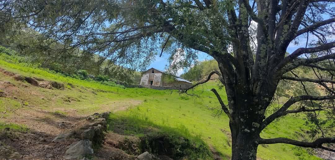 La capilla al otro lado del prado