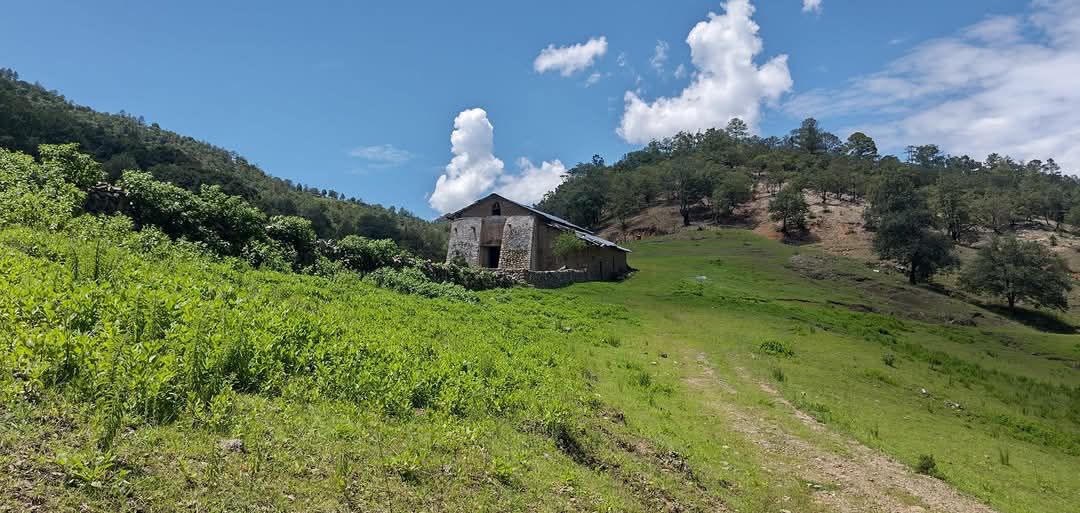 La capilla bajo el cielo de verano